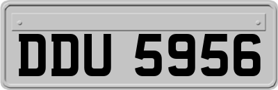 DDU5956