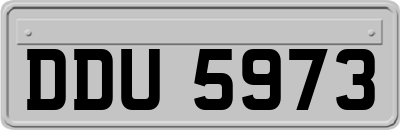 DDU5973