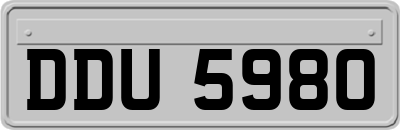 DDU5980