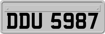 DDU5987