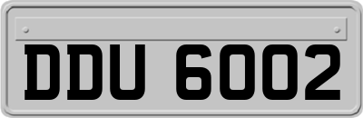 DDU6002