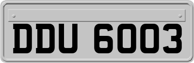 DDU6003