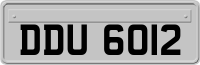 DDU6012