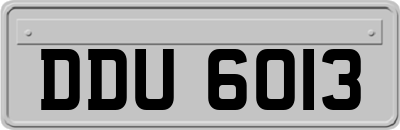 DDU6013