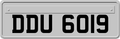 DDU6019