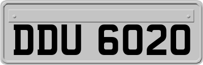 DDU6020