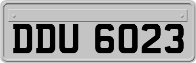 DDU6023