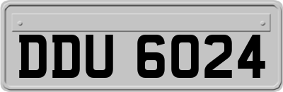 DDU6024
