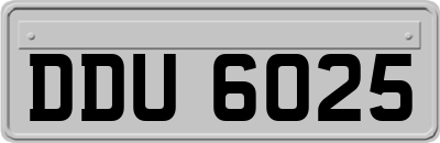 DDU6025