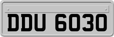 DDU6030
