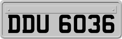 DDU6036