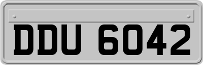 DDU6042