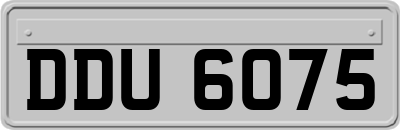 DDU6075