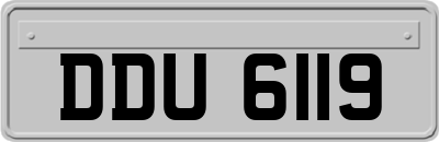 DDU6119