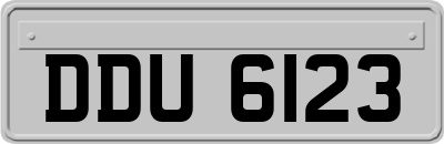 DDU6123