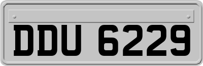 DDU6229