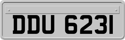 DDU6231