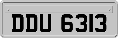 DDU6313