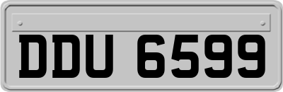DDU6599