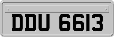 DDU6613