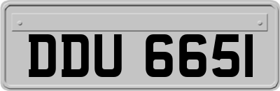 DDU6651