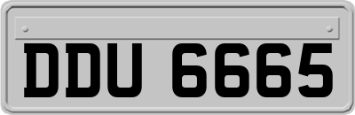 DDU6665