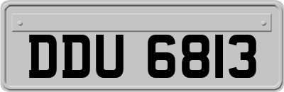 DDU6813