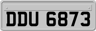 DDU6873