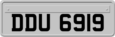 DDU6919