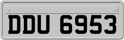 DDU6953