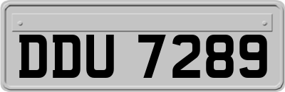 DDU7289