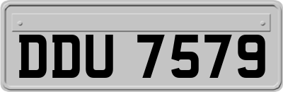 DDU7579