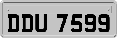 DDU7599