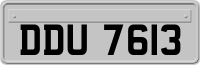 DDU7613