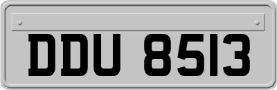 DDU8513