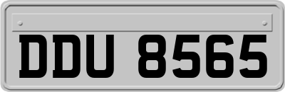 DDU8565