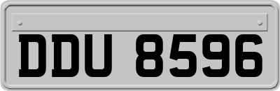 DDU8596