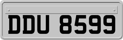 DDU8599