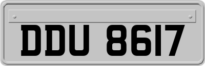 DDU8617