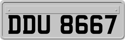 DDU8667