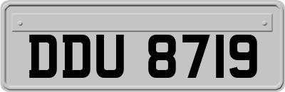 DDU8719