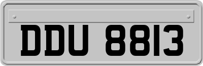 DDU8813