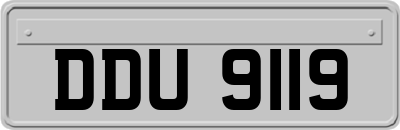 DDU9119