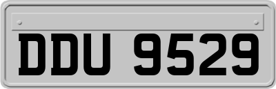 DDU9529
