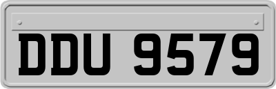 DDU9579