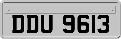 DDU9613