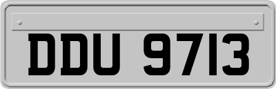 DDU9713