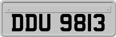DDU9813