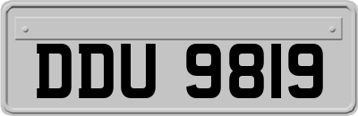 DDU9819