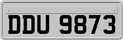 DDU9873